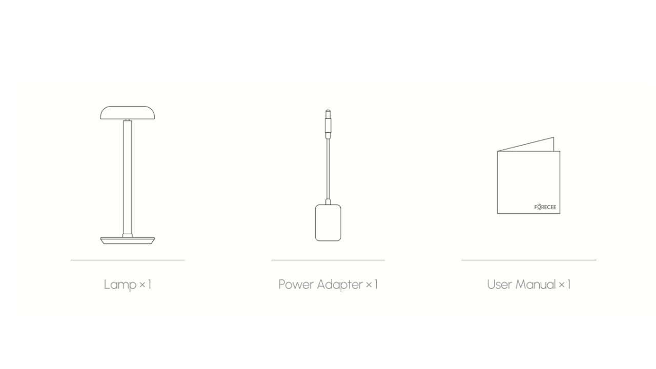 Labeled diagram of Forecee Desk Lamp box contents, including one lamp, one power adapter, and one user manual.
